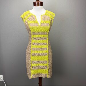 Bcbgmaxazria Jacqueline Taupe Yellow Lace overlay Dress Sz 6 Party Cocktail
